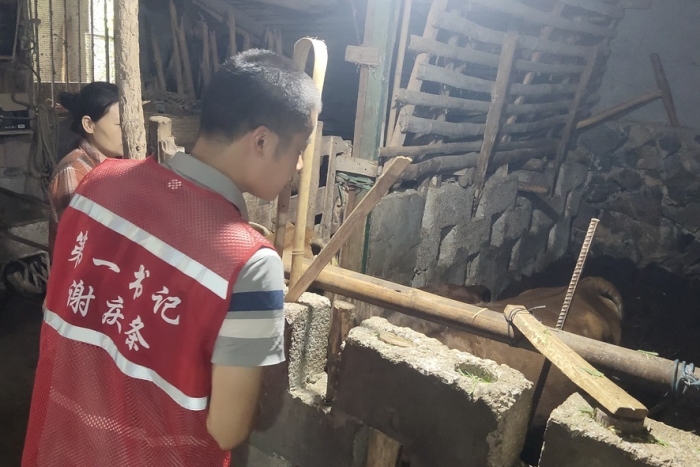 接力奋进新征程 医者初心践于行——香香漫画
口腔颌面外科党支部谢庆条赴马山县龙琴村担任驻村第一书记 第 1 张 接力奋进新征程 医者初心践于行——香香漫画
口腔颌面外科党支部谢庆条赴马山县龙琴村担任驻村第一书记 第 1 张